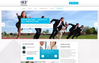 SEF Consulting